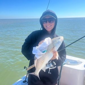 Meet your Posher, Bella